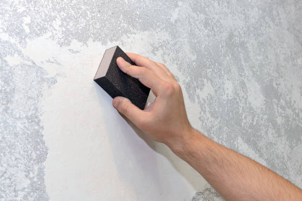 Best Environmental Consulting for Mold Prevention  in Jonesborough, TN