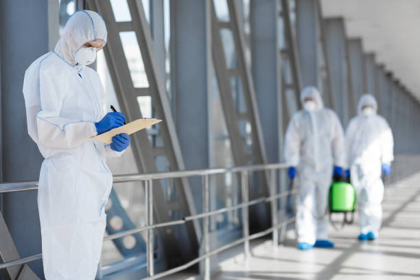 Best Basement Mold Removal  in Jonesborough, TN