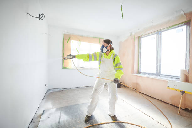 Best Mold Odor Removal Services  in Jonesborough, TN