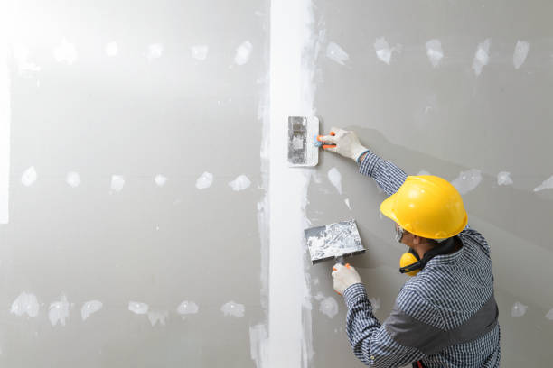Mold Documentation for Insurance Claims in Jonesborough, TN