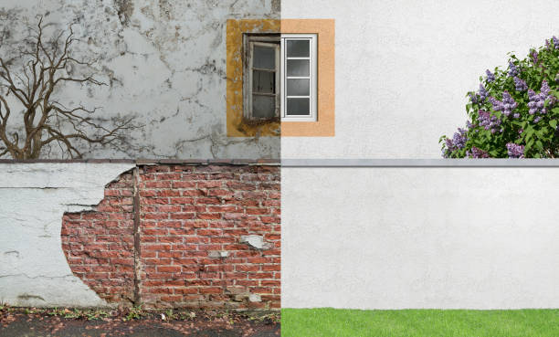 Best Mold Documentation for Insurance Claims  in Jonesborough, TN