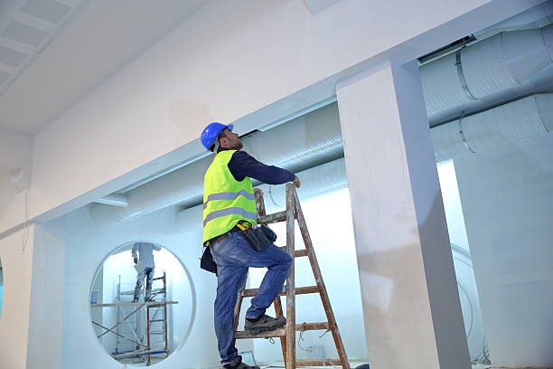 Trusted Jonesborough, TN Mold Removal Experts